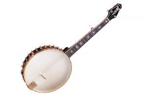 Other 5-String Banjos