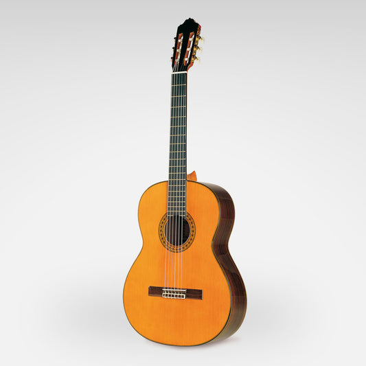 Esteve 8 Classic Guitar