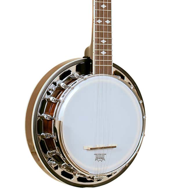 Gold tone bg 2024 mini banjo