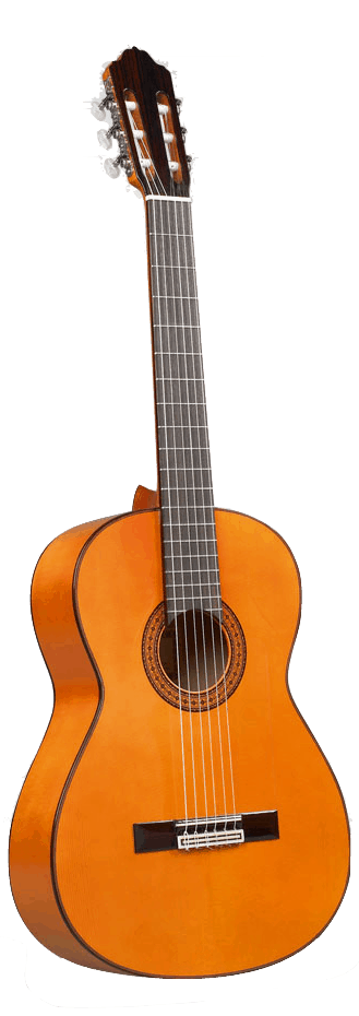 Esteve 5f flamenco top guitar