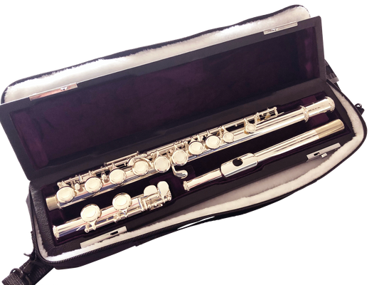 Trevor James 5xE Student Flute