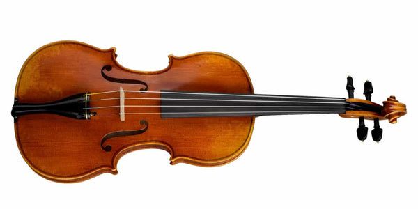 Hofner H115-AS “Stradivari” Outfit