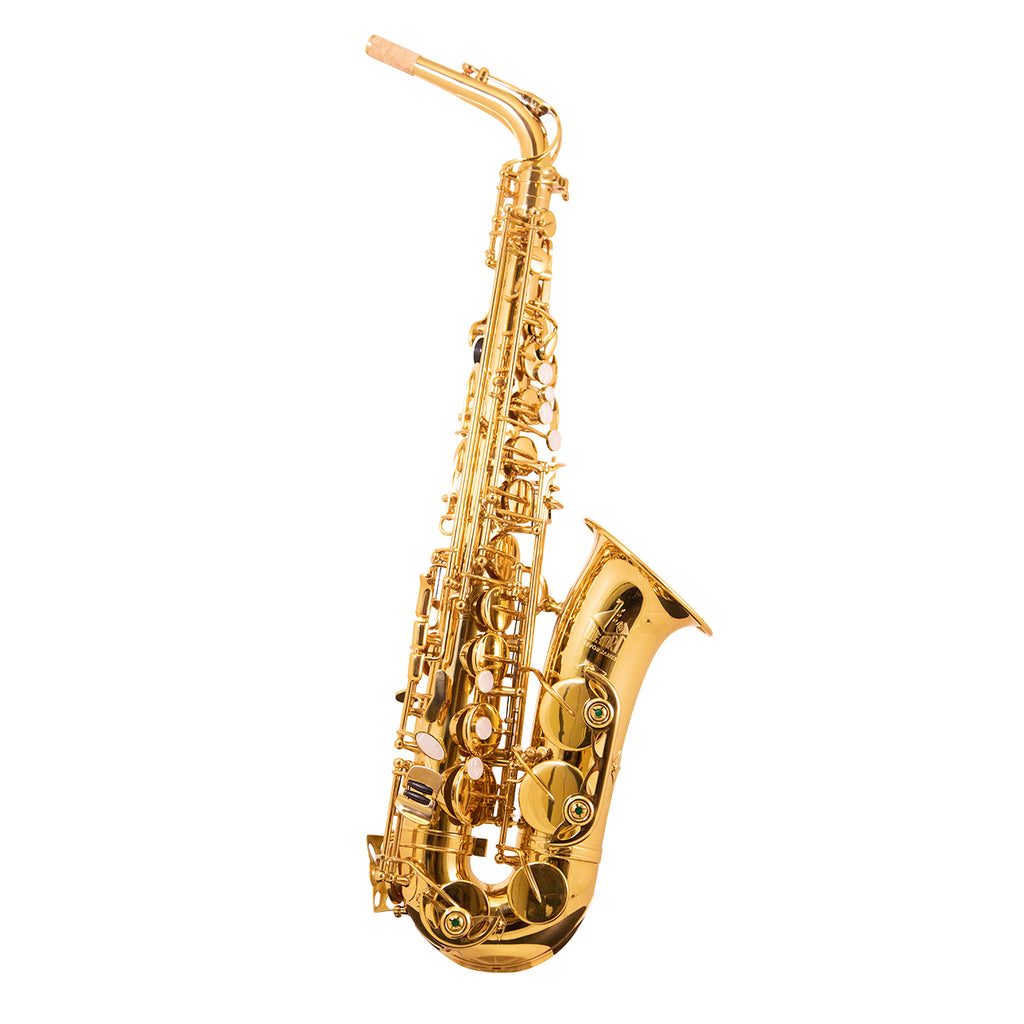 Trevor James 'The Horn' Alto Saxophone - Zenith Music