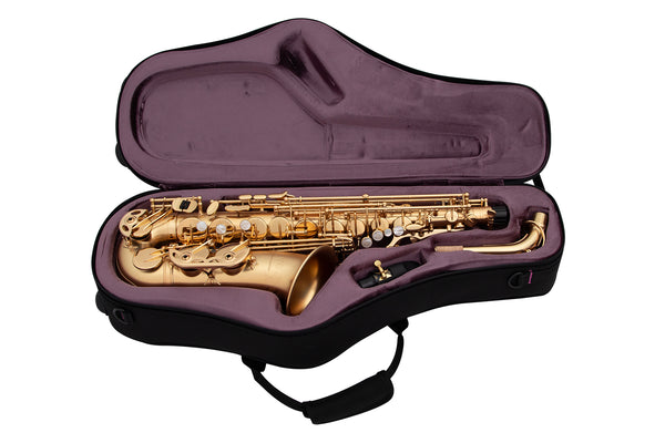 Trevor James EVO Alto Saxophone - Gold Frosted