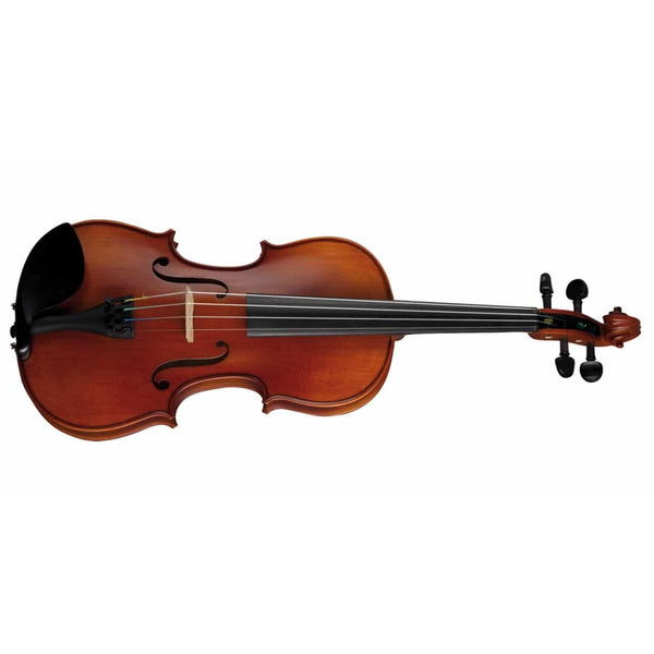 Höfner H5 Violin Outfit