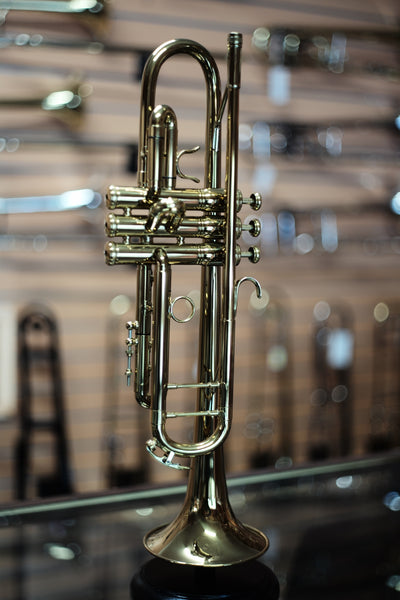 L1004390Resized_grande.jpg?v=