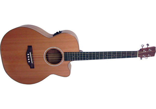 Ashbury Lindisfarne Tenor Guitar (Left-Handed)