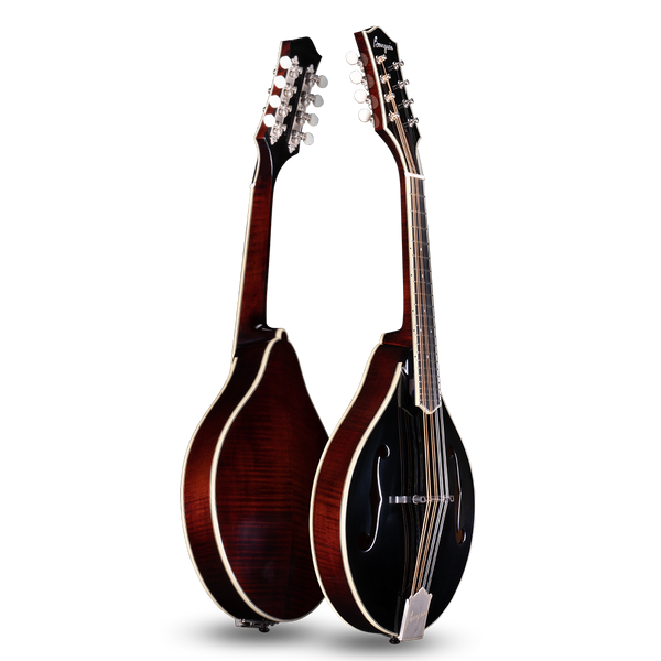 Bourgeois M5A Black-Top Mandolin