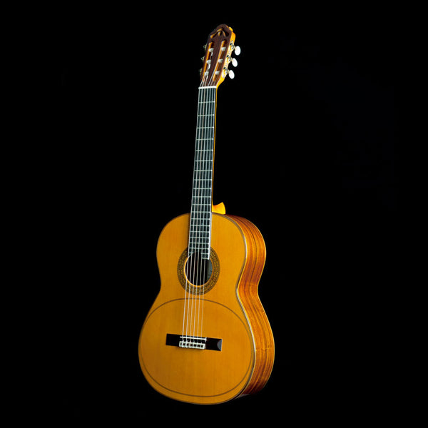 Esteve Artista Membrana Professional Classic Guitar - Spruce