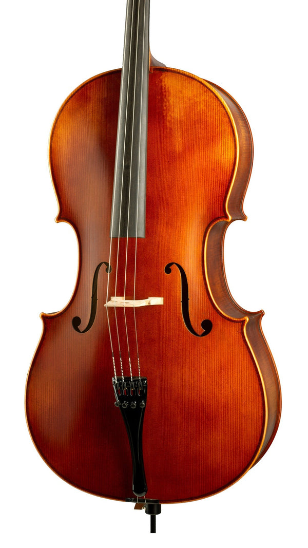 Paesold PA602E 4/4 Cello Outfit