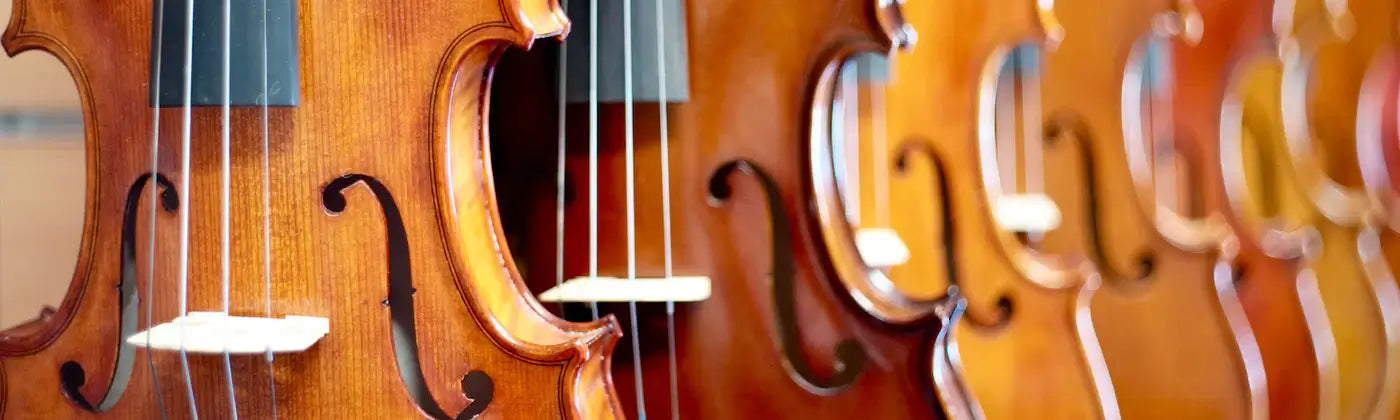 Close up image of bowed strings instruments.