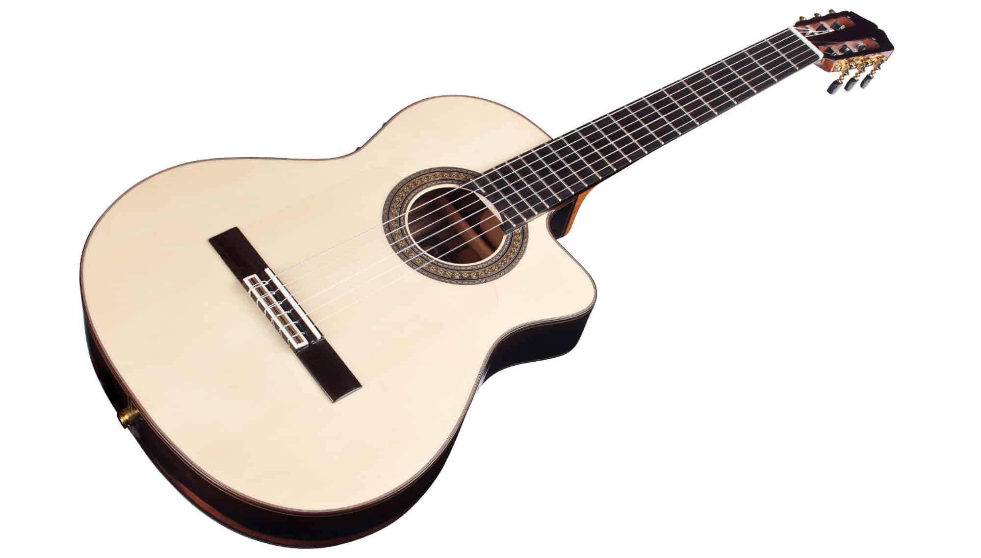 Cordoba 55FCE Negra – Macassar Ebony Thinbody - Zenith Music