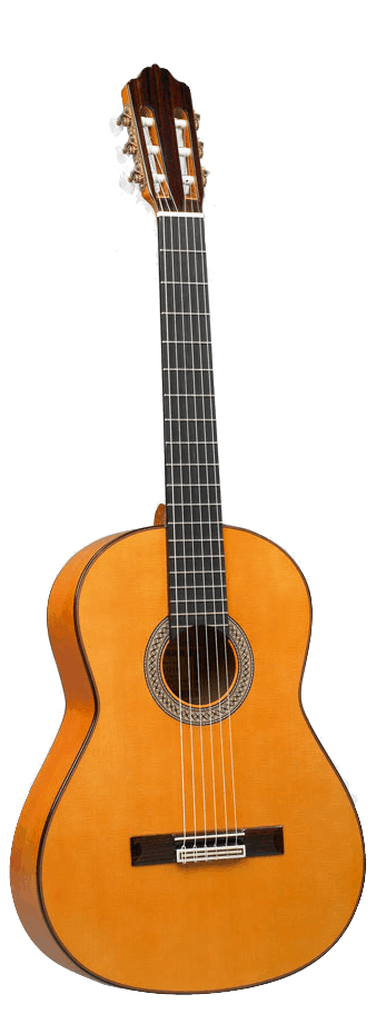 Esteve 8FCB Flamenco Guitar (New Technology)