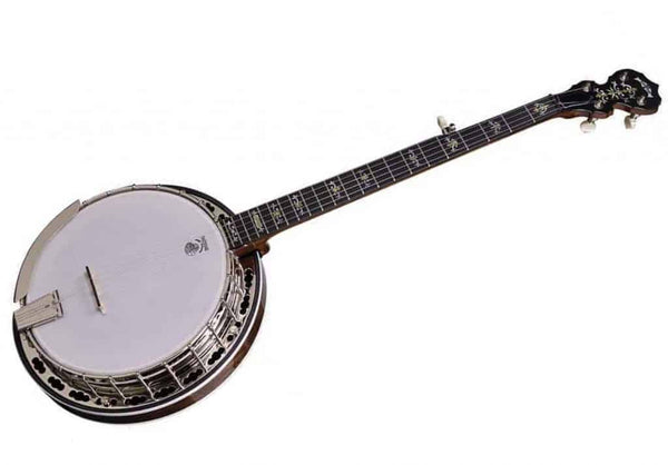 Deering Deluxe Banjo