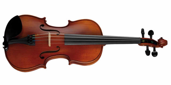 Höfner H5 Violin Outfit