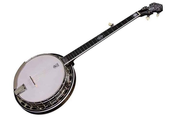 Deering deals hartford banjo